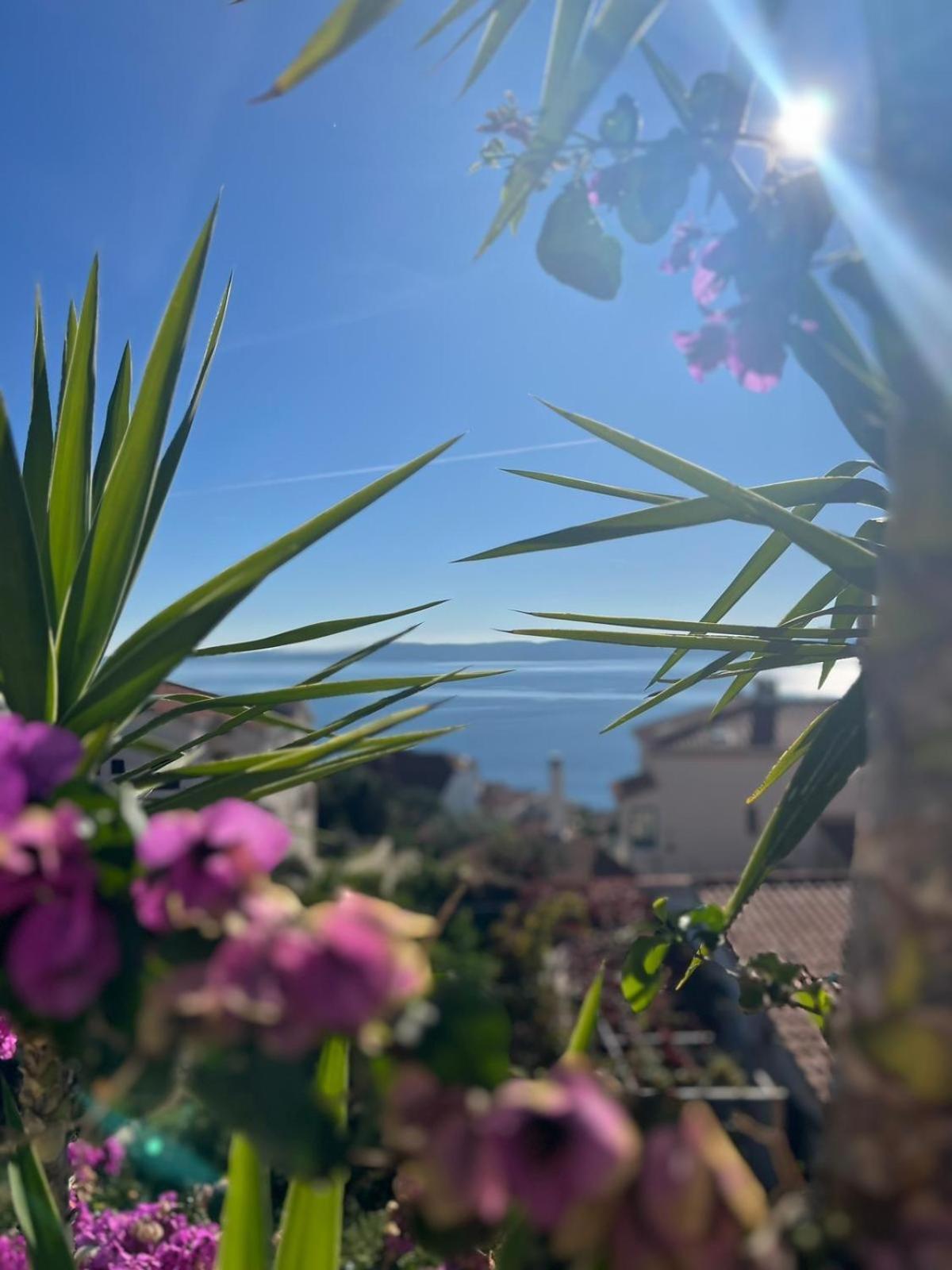 Trogir Ciovo Big Seaview Apartment Near The Sea 外观 照片
